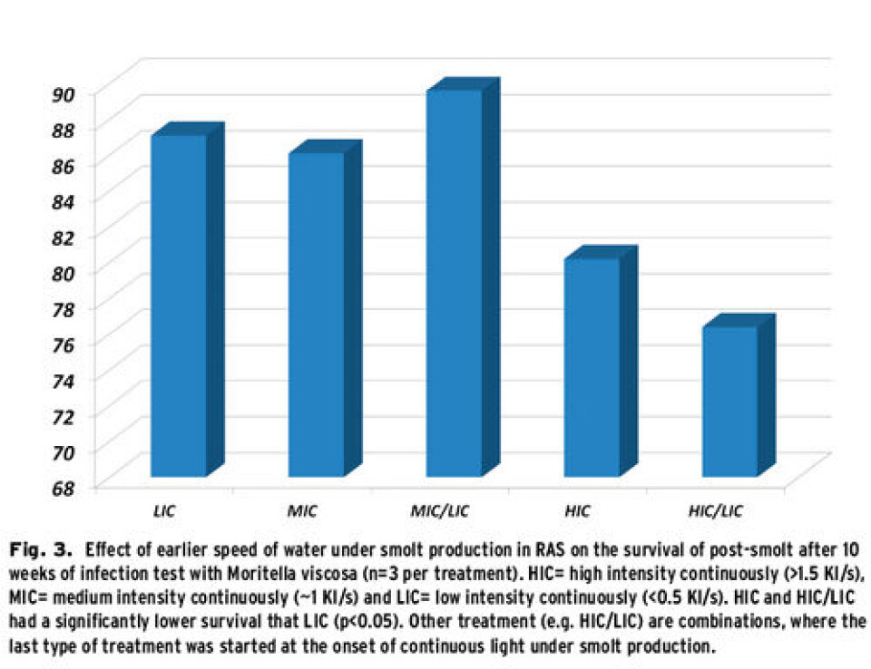 Fish welfare and –performance in recirculation plants