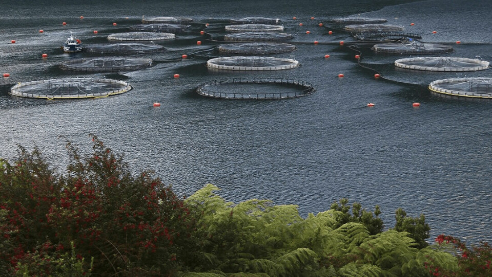 A Camanchaca salmon farm. The company harvested 6,425 tonnes of Atlantic salmon in Q2.
