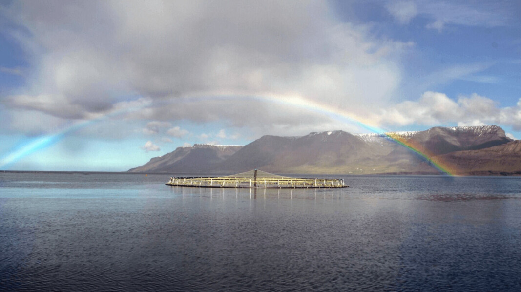 An Artic Fish site in the West Fjords, Iceland. An Artic Fish site in the West Fjords, Iceland.
