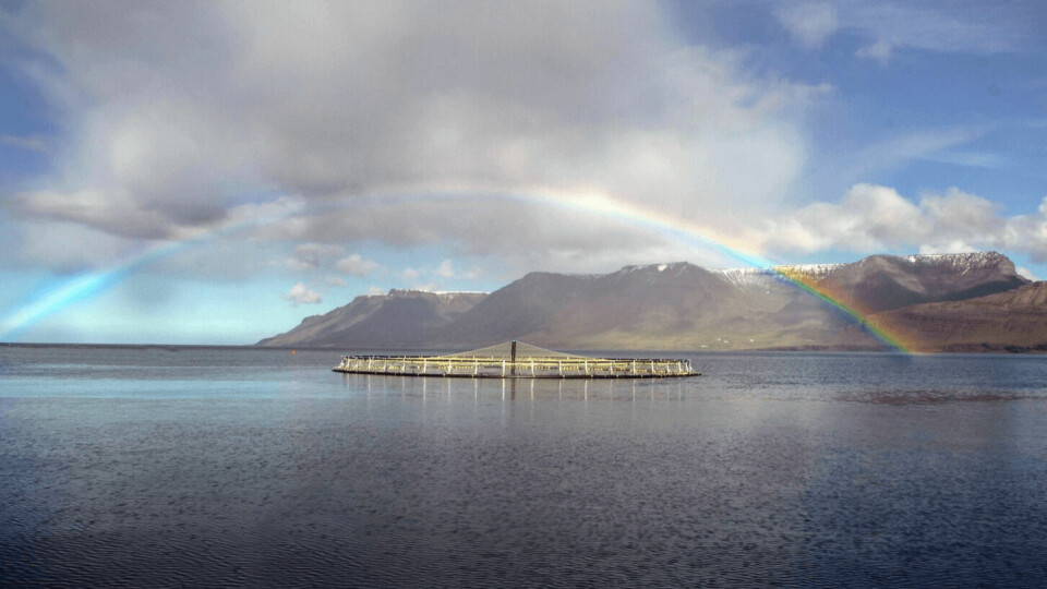 Gold at the end of the rainbow? An Arctic Fish site in Iceland. The company made an operating loss in Q4 but NRS has high hopes for the operation. Photo: Arctic Fish.