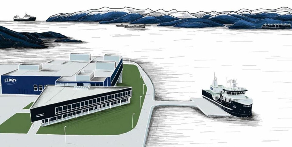 The image on the front of LSG's Q3 report published today. Illustration: LSG.