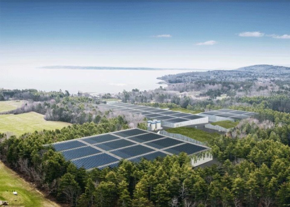 The salmon farm will discharge water into Penobscot Bay. Image: Nordic Aquafarms.