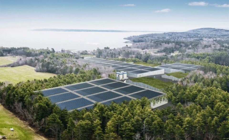 An illustration of Nordic's proposed salmon farm in Belfast, Maine.