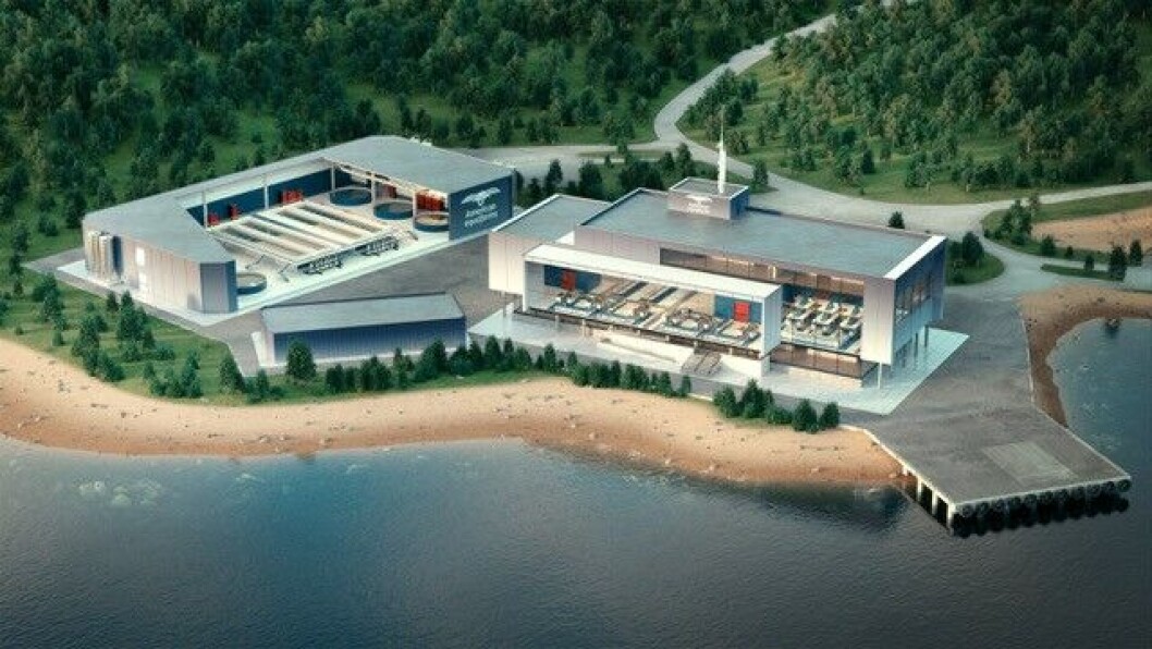 A visualisation of the American Aquafarms hatchery and processing facility. Image: American Aquafarms. A visualisation of the American Aquafarms hatchery and processing facility. Image: American Aquafarms.