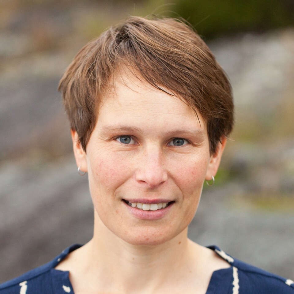 NHH Professor Linda Nøstbakken is the course director for the Seafood MBA, which began in October 2016. Photo NHH.