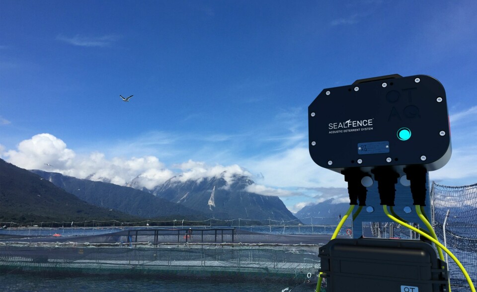 Fish farming's move away from ADDs such as OTAQ's SealFence hit the company's bottom line in its last financial year. Photo: OTAQ.