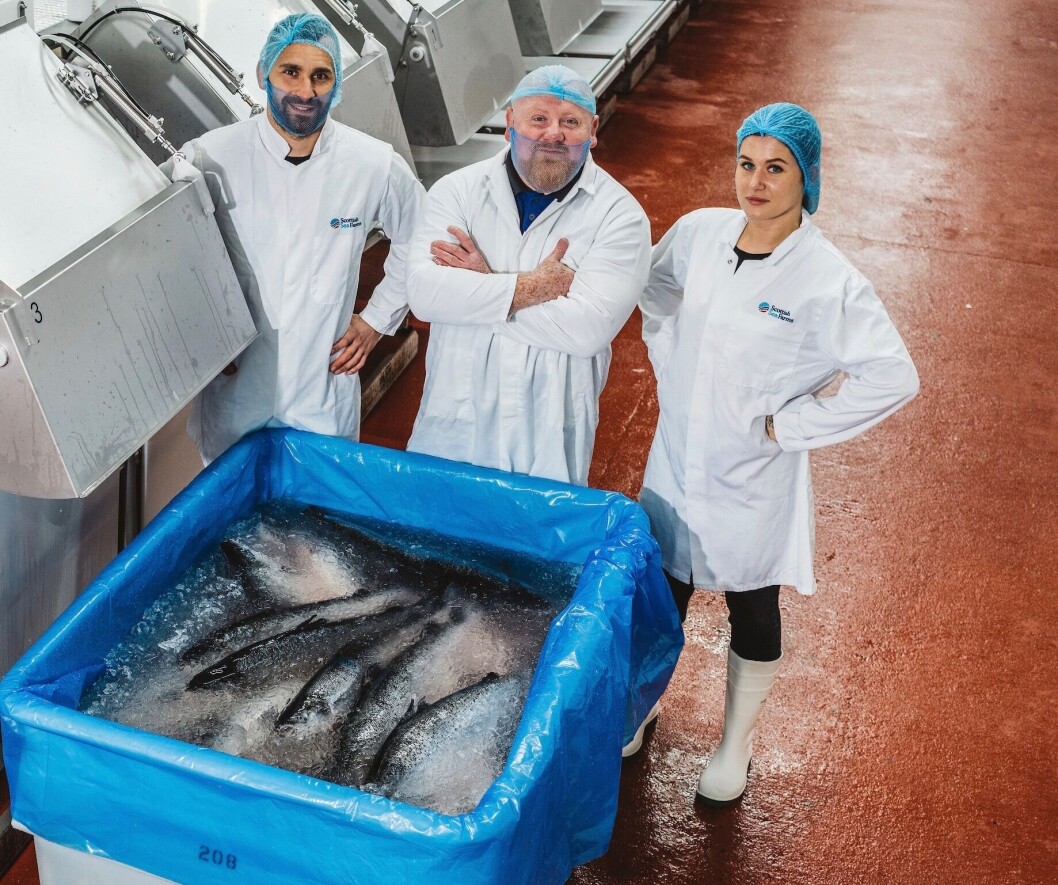 The SSF processing team with one of the bulk bins which have so far replaced more 780,000 single-use polystyrene boxes. Photo: SSF. The SSF processing team with one of the bulk bins which have so far replaced more 780,000 single-use polystyrene boxes. Photo: SSF.