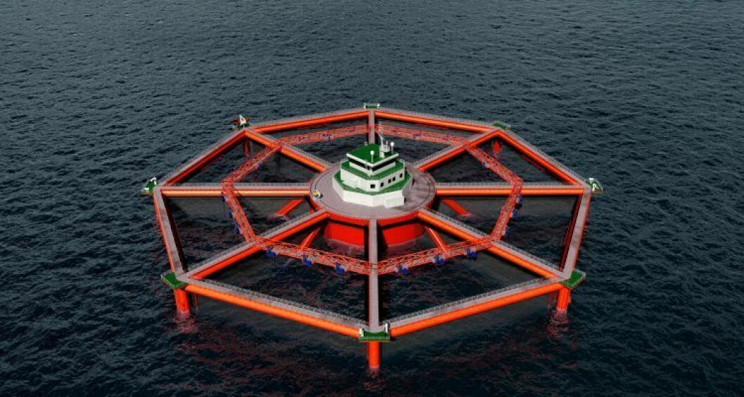 The Smart Fish Farm will have a capacity of 19,000 tonnes of salmon. Image: SalMar.
