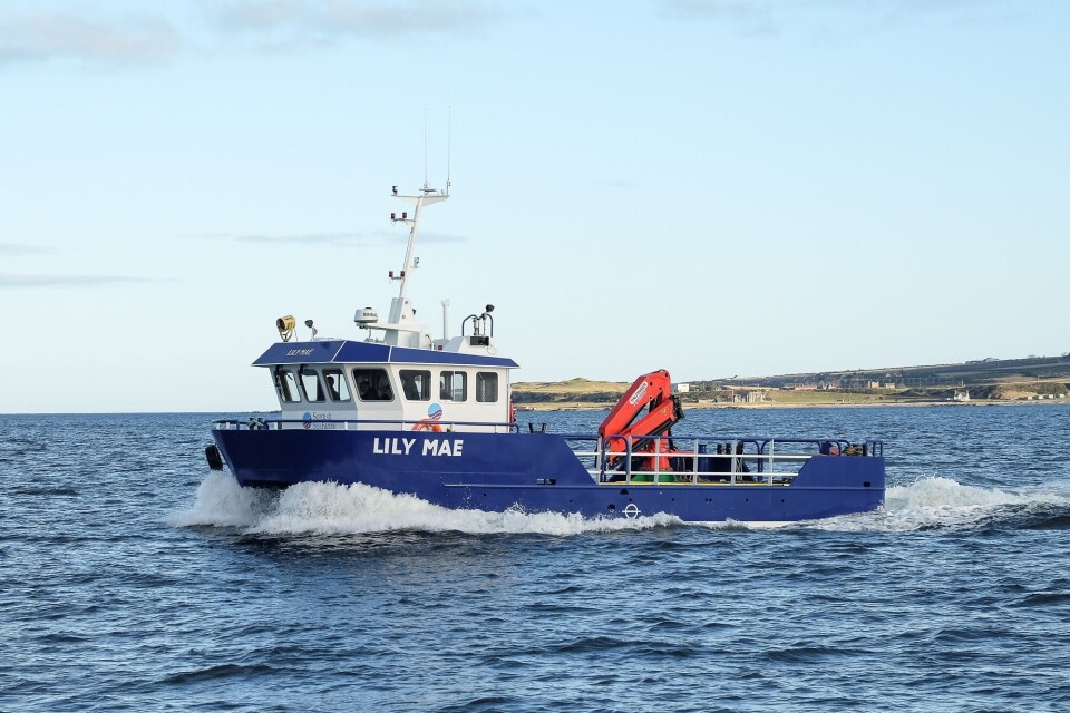 Lily Mae was built by Macduff for Scottish Sea Farms' Shetland division. Image: Macduff