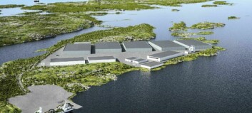 Fresh approach: hatchery and fish farm to rely on desalinated water