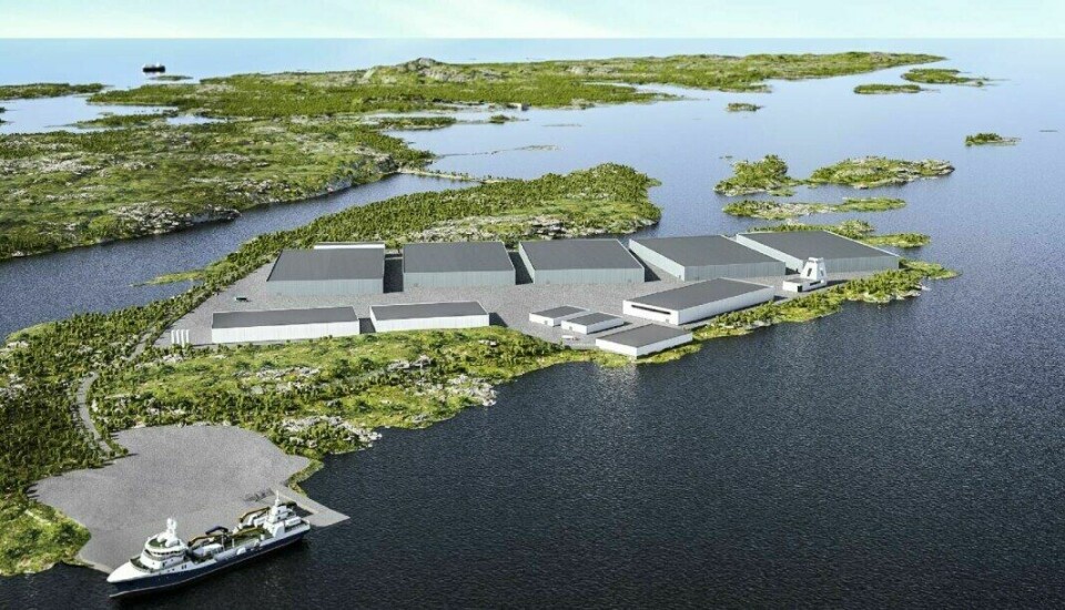Illustration of the proposed Eco Seafood facility in Norway. Image: Moldskred AS.