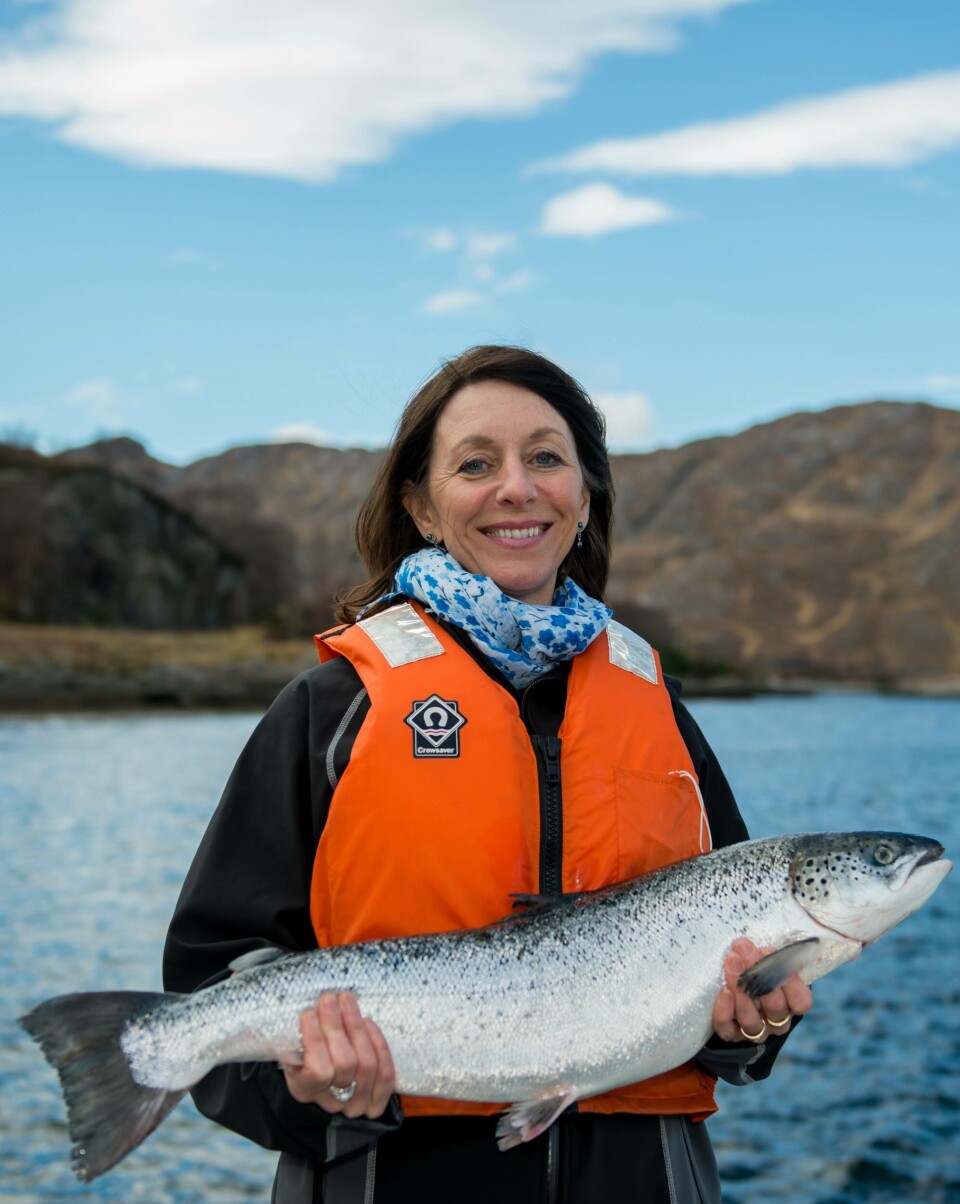 Anne MacColl, Chairman of the SSPO.
