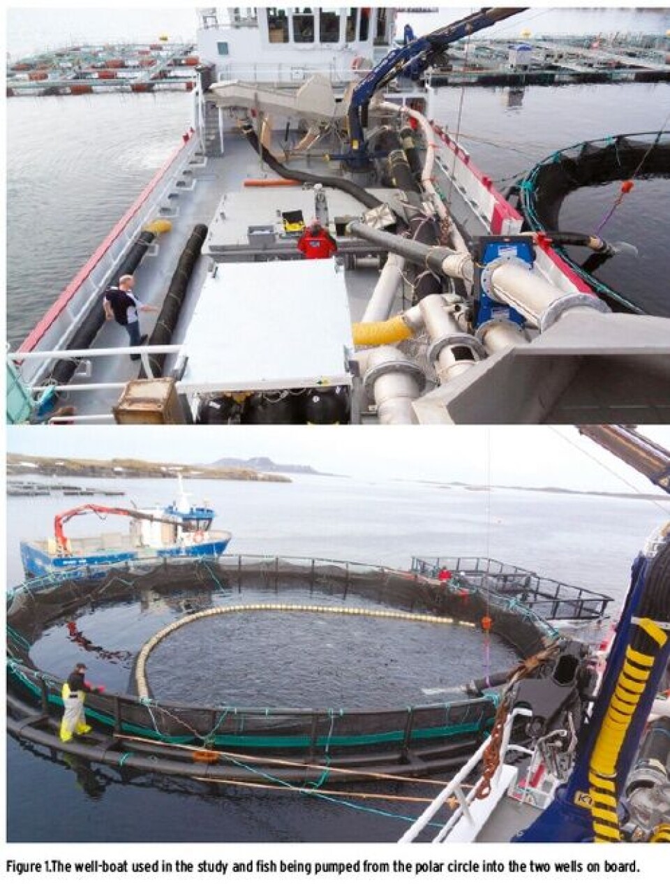 Freshwater delousing using well-boats