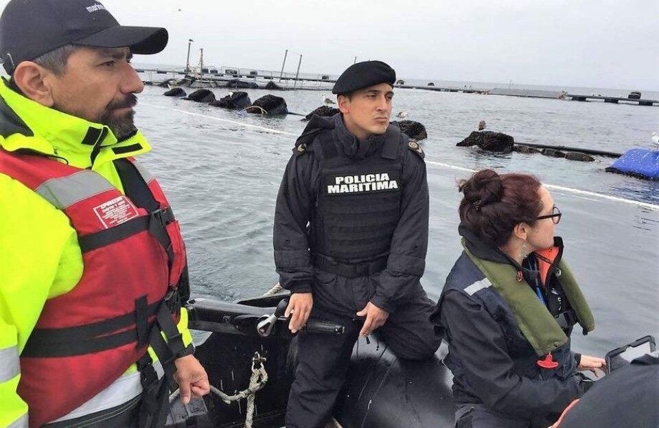 Inspection at the Punta Redonda farm, where 690,000 salmon escaped from cages wrecked by bad weather in July 2018.