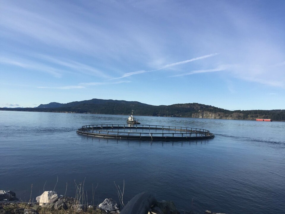 Marine Harvest Canada has signed a deal to buy 87 HD 500 Extreme pens.