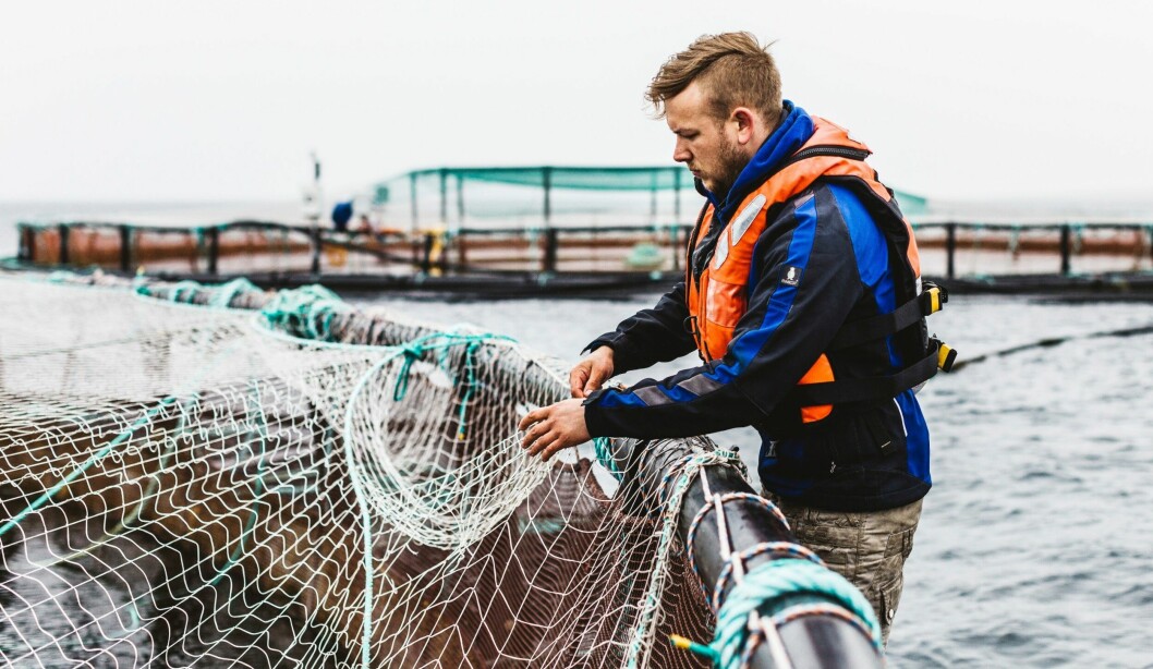 A farm technician at Scottish Sea Farms' Shapinsay site, Orkney. The marine economy is a key priority for Holyrood. Photo: SSF.