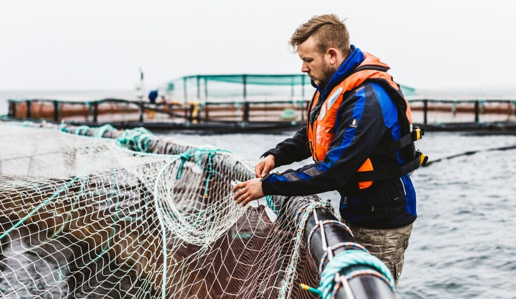 A trainee at SSF's Shapinsay site in Orkney. Photo: SSF A trainee at SSF's Shapinsay site in Orkney. Photo: SSF