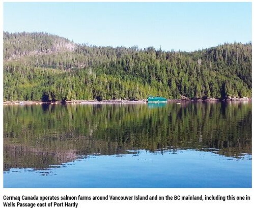 Mixed Results for Norwegian Companies in British Columbia