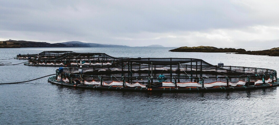 Monitoring plan added to fish farm requirements
