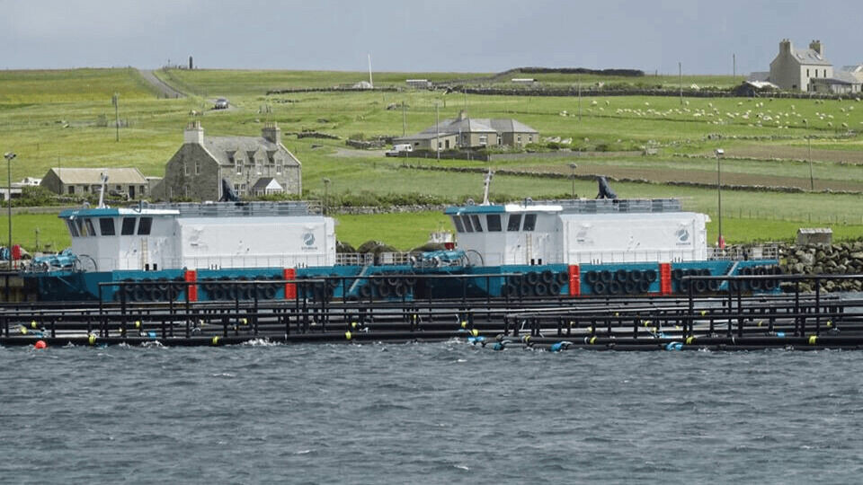Cooke Scotland feed barges in Shetland. The company made a post-tax profit of £32.67m on turnover of £169.3m last year. Photo: Cooke.