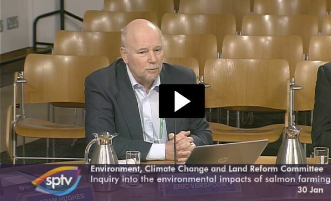 Professor Eric Verspoor gives evidence to the ECCLR yesterday. Video grab: SPTV