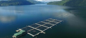 Mowi blames Canadian government for BC hatchery closure