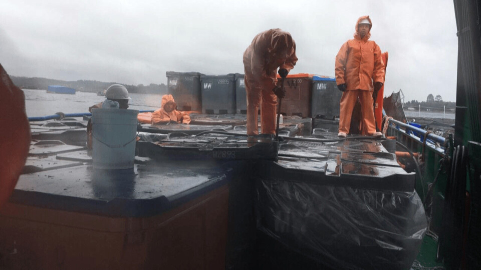Morts from Mowi Chile's Pulelo farm are transferred to authorised final disposal sites. Photo: Sernapesca.