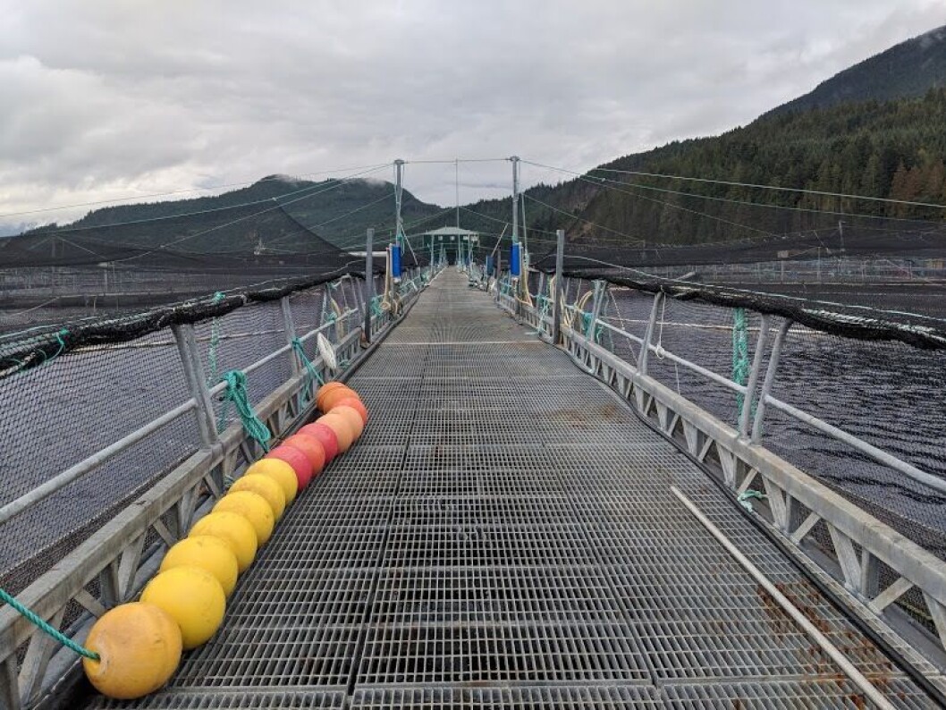 Mowi Canada West salmon farm near Sonora Island, located northeast of Campbell River, Vancouver Island. Image: Iayisha Khan Mowi Canada West salmon farm near Sonora Island, located northeast of Campbell River, Vancouver Island. Image: Iayisha Khan