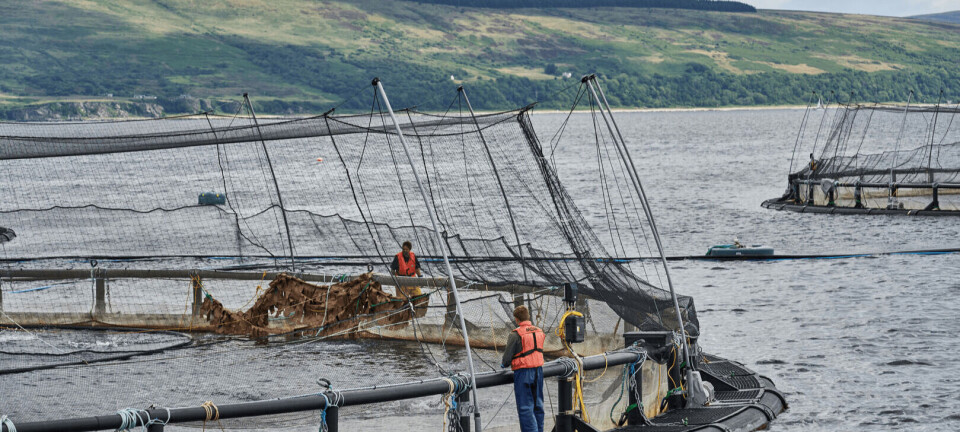SEPA changes to fish farm licences 'will be frozen by appeals process'