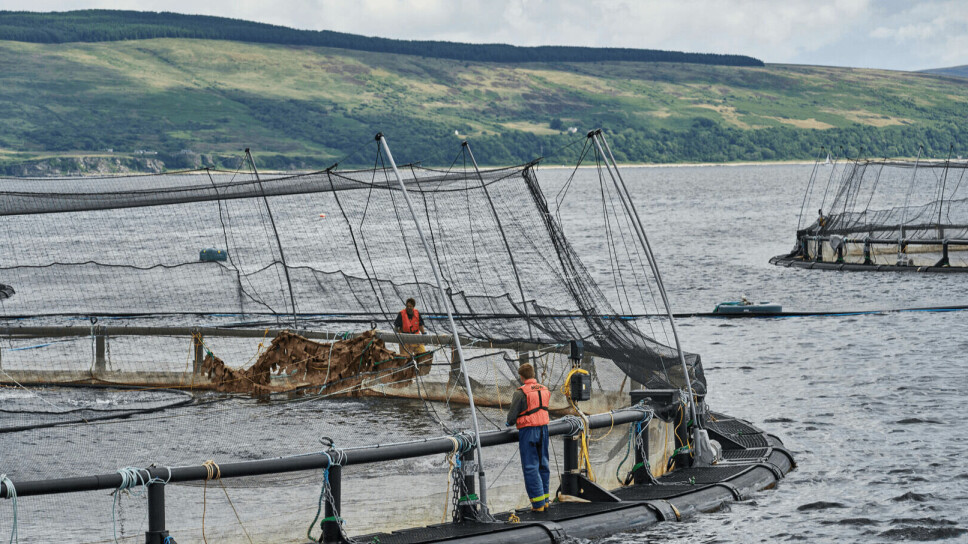 A Mowi salmon farm in Scotland. The Scottish operation has been hampered by a poorly-performing generation of fish and seasonal biological challenges.