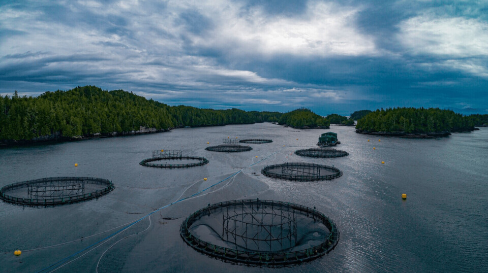 File photo of a salmon farm in British Columbia. The federal government has sided with the 'extreme position' of activists and will outlaw open net pens in BC by the end of June, 2029.