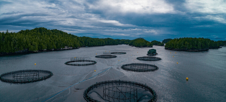 Fish farmers urge Canadian ministers to reject 'extreme voices'