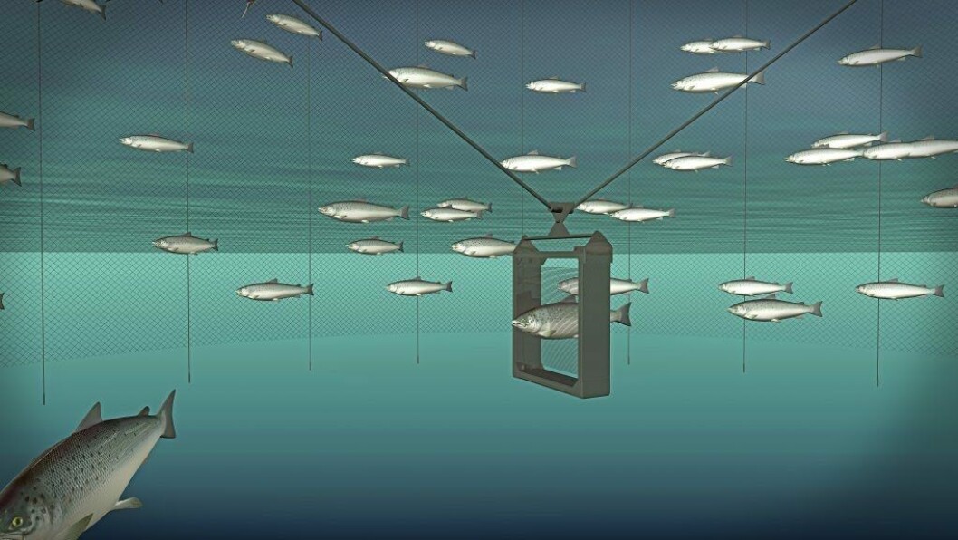 An illustration of a Vaki Biomass Daily frame in a cage. The Biomass Daily system provides a 24/7 overview of average weight, size distribution, condition-factor and growth. Image: Vaki. An illustration of a Vaki Biomass Daily frame in a cage. The Biomass Daily system provides a 24/7 overview of average weight, size distribution, condition-factor and growth. Image: Vaki.