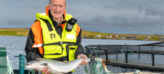Scottish salmon exports to EU up 74% despite Brexit