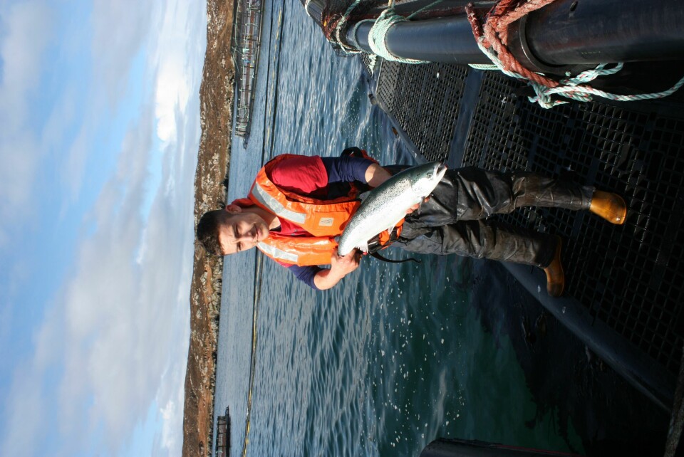 The Scottish Salmon Company's Native Hebridean salmon has boosted earnings. Image by Rob Fletcher