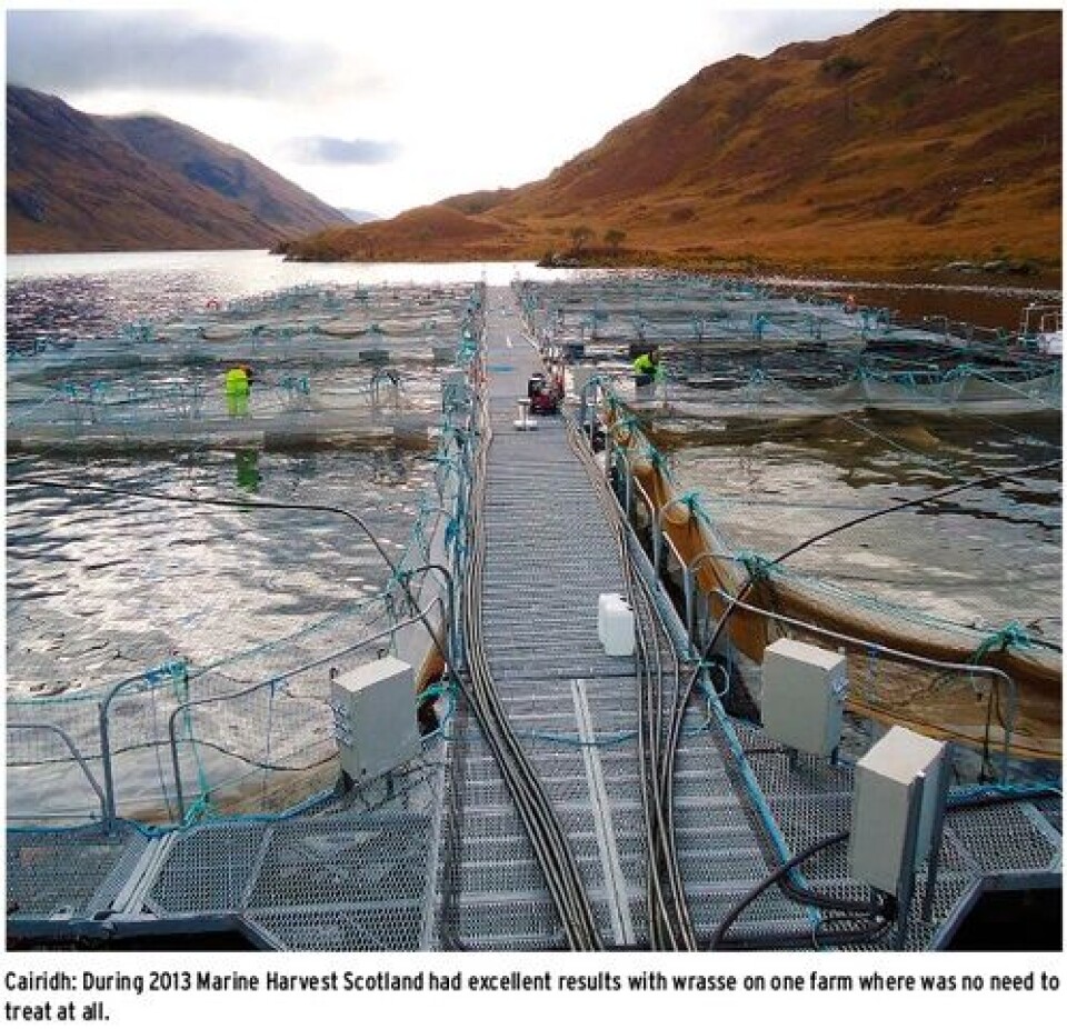 New approach to sea lice control