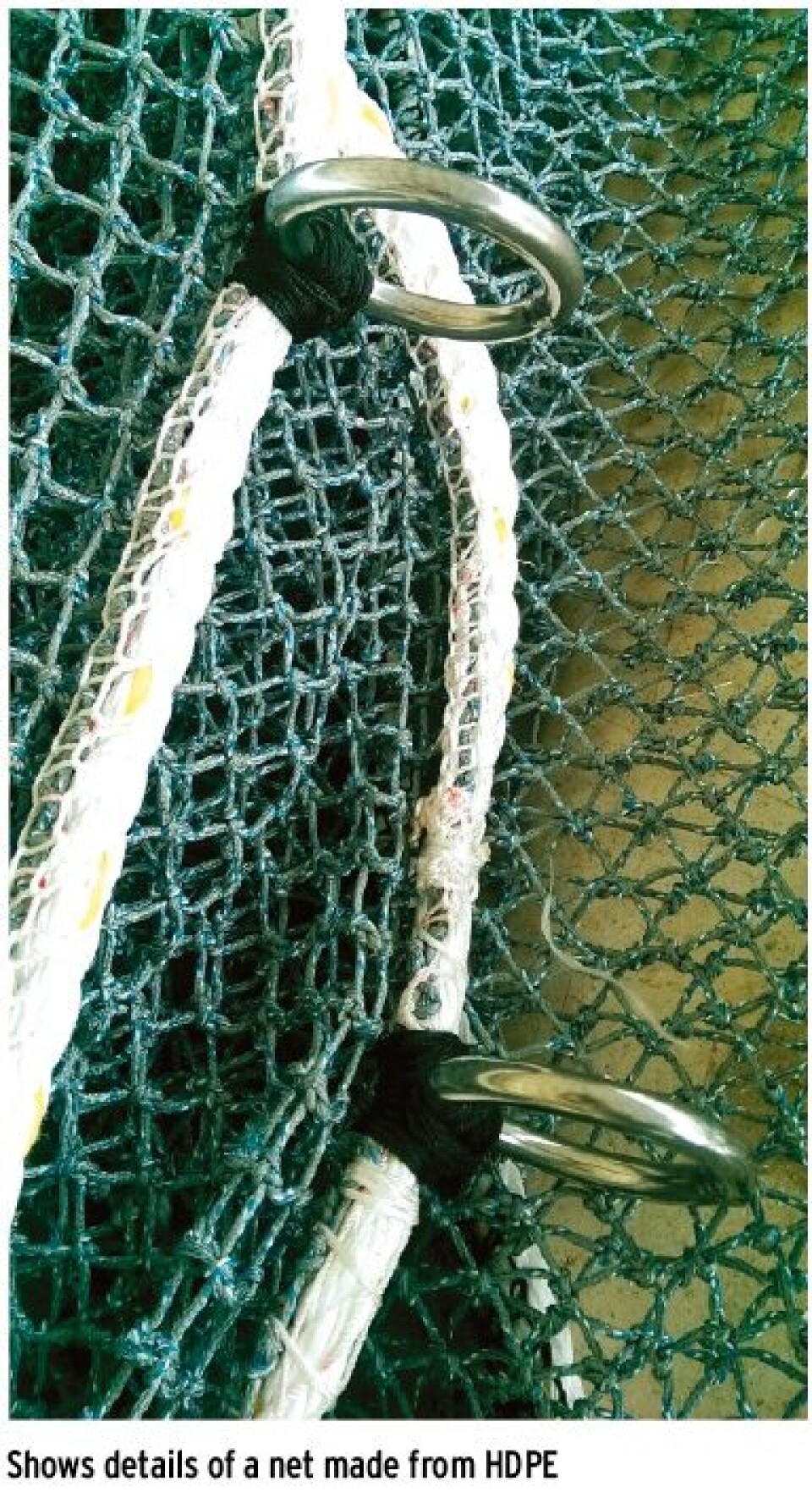 New contracts for the Mørenot Aquaculture Group