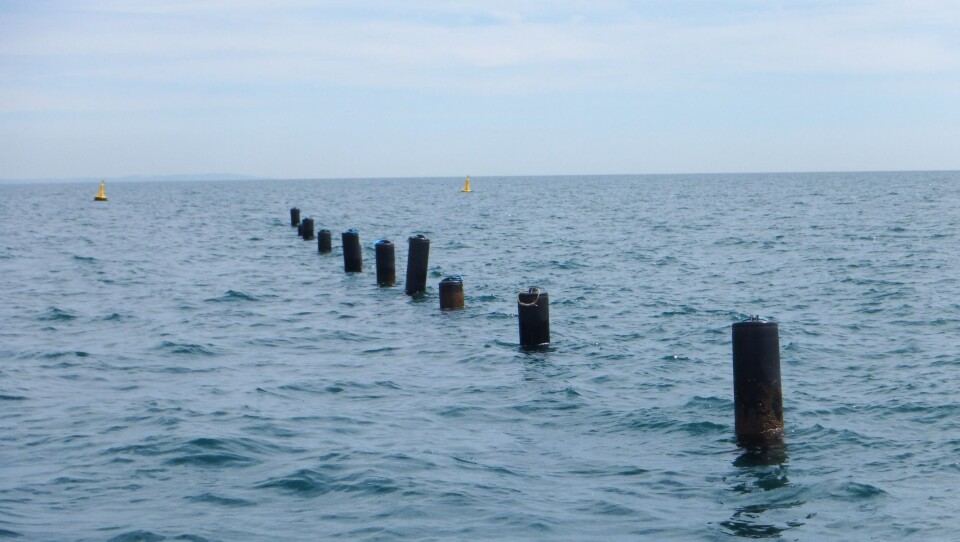 Musselfloat developed by Offshore Shellfish Ltd (OSL) in partnership with Fusion Marine.