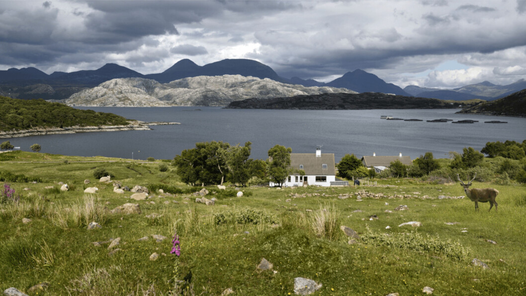 A fish farm in Loch Torridon in the Scottish Highlands. Photo: SAIC / Reimar Gaertner. A fish farm in Loch Torridon in the Scottish Highlands. Photo: SAIC / Reimar Gaertner.