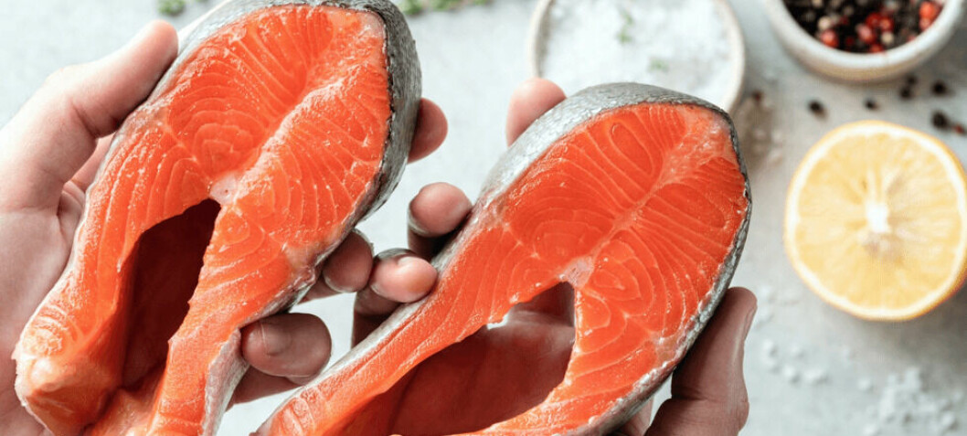 New harvest of Coho salmon approaches the US market