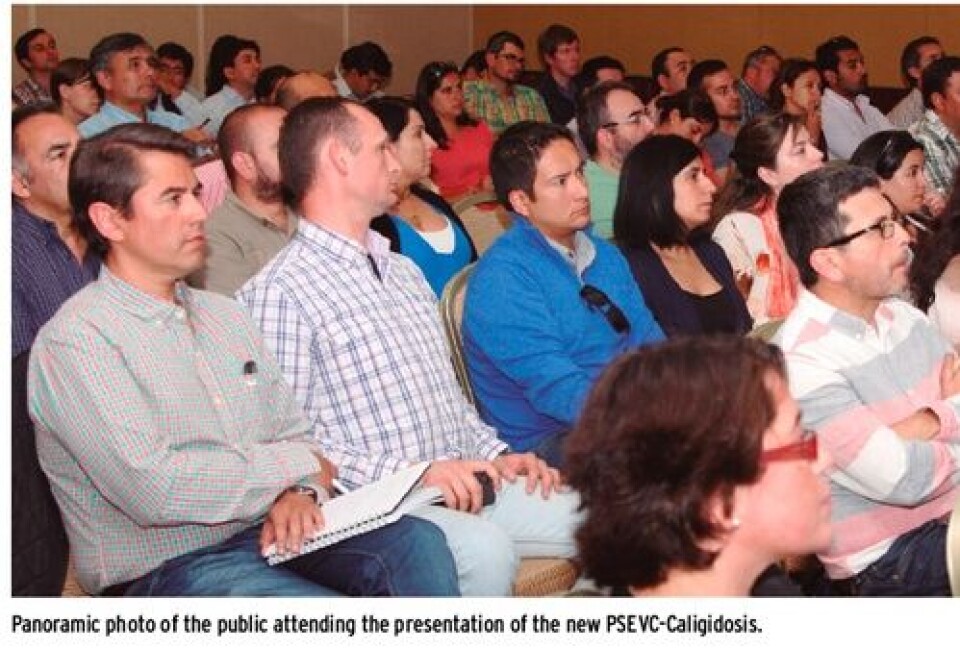 New lice legislation launched in Chile