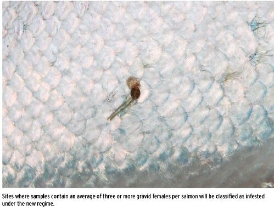New lice legislation launched in Chile