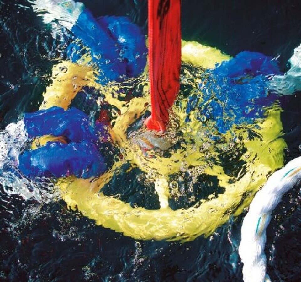 New mooring link deployed