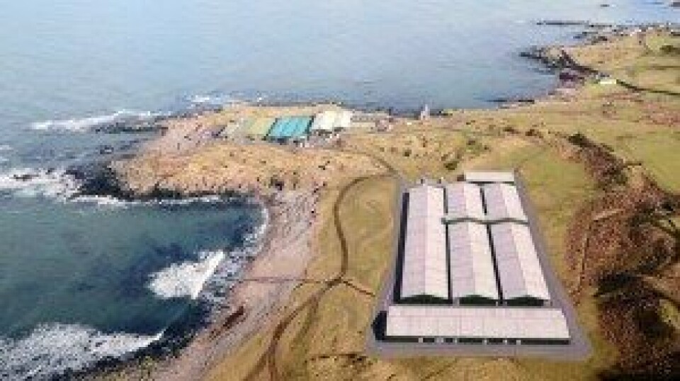 A CGI of a new wrasse hatchery at Machrihanish in Scotland. The exisiting facility is in the background. Image by Marine Harvest Scotland.