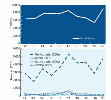 Scottish shellfish production 2012-2021. Click on image to enlarge. Graphic: Marine Scotland. Scottish shellfish production 2012-2021. Click on image to enlarge. Graphic: Marine Scotland.