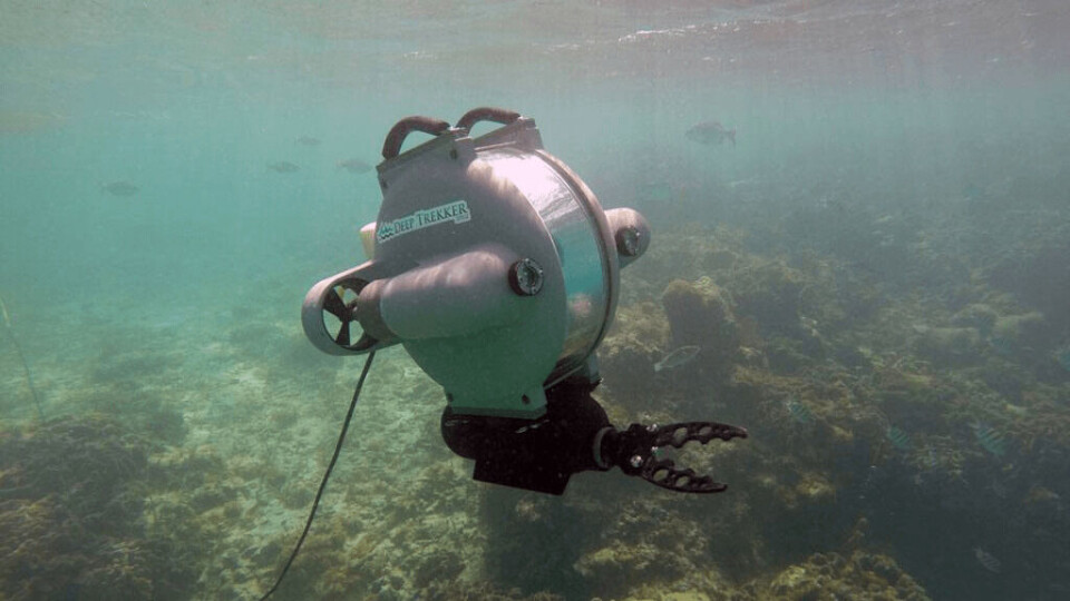 An earlier version of a Deep Trekker ROV. The new model will be more powerful and capable, the company says.
