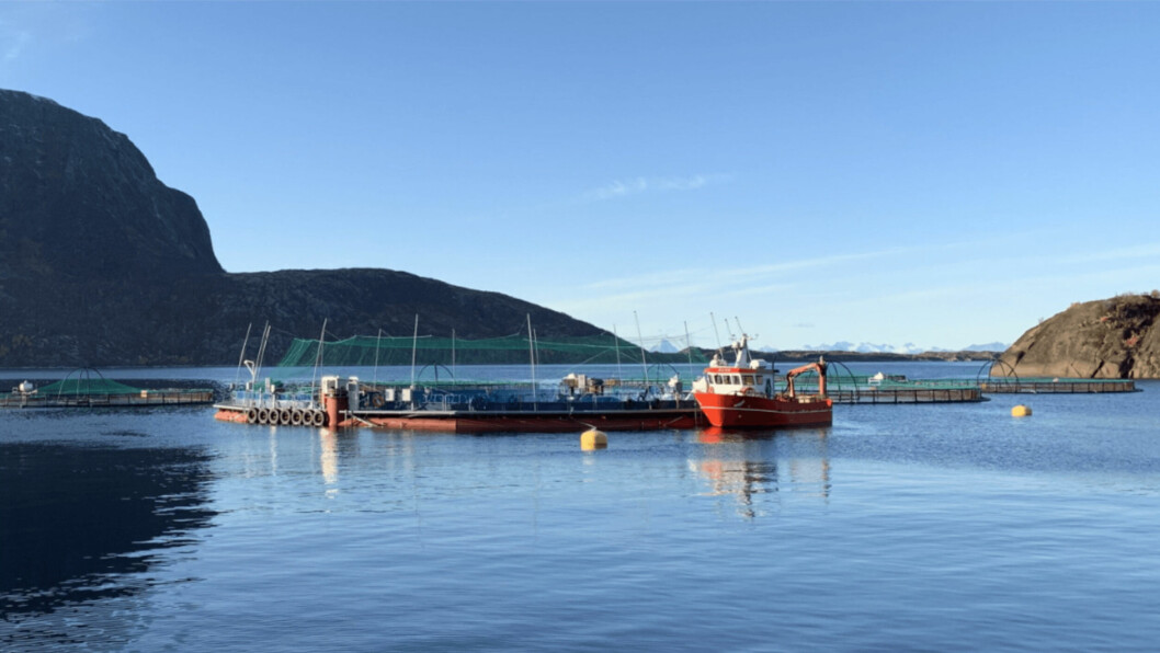 A Fiizk semi-closed containment system in Norway. Fiizk is one of two suppliers being considered by LLS. Photo: Fiizk.
