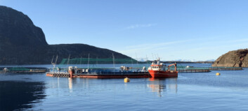 New salmon company plans semi-closed containment farms in Scotland