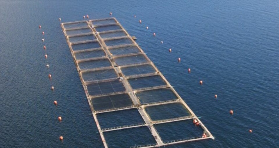 Putting a fair price on marine leases