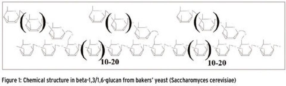 Purified beta glucans as a preventative tool in modern aquaculture